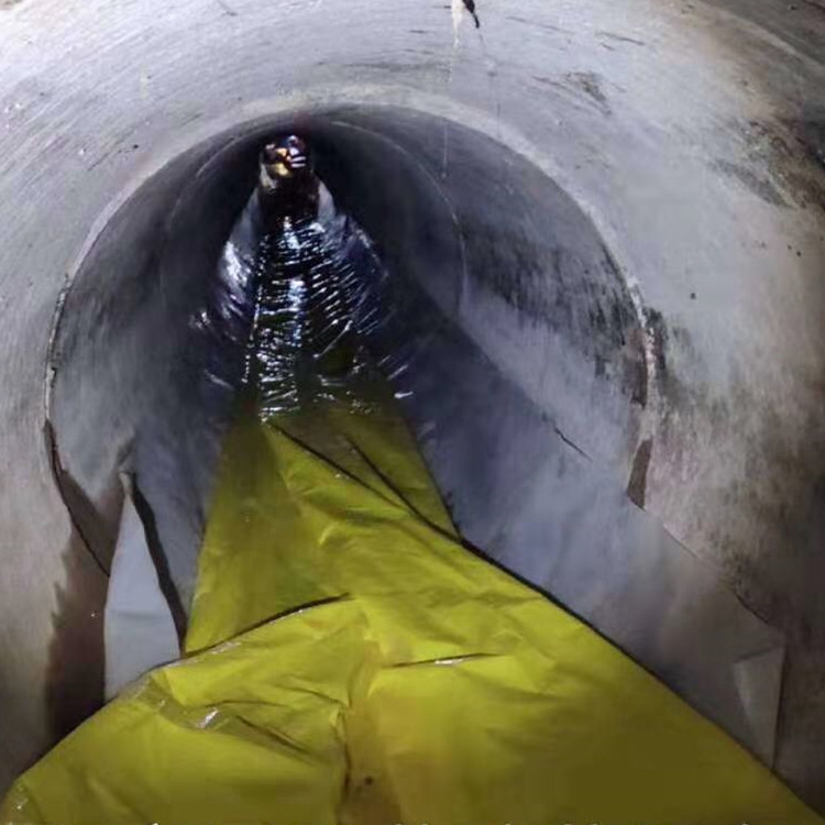 林芝管道光固化修复